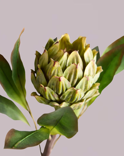 All Foliage