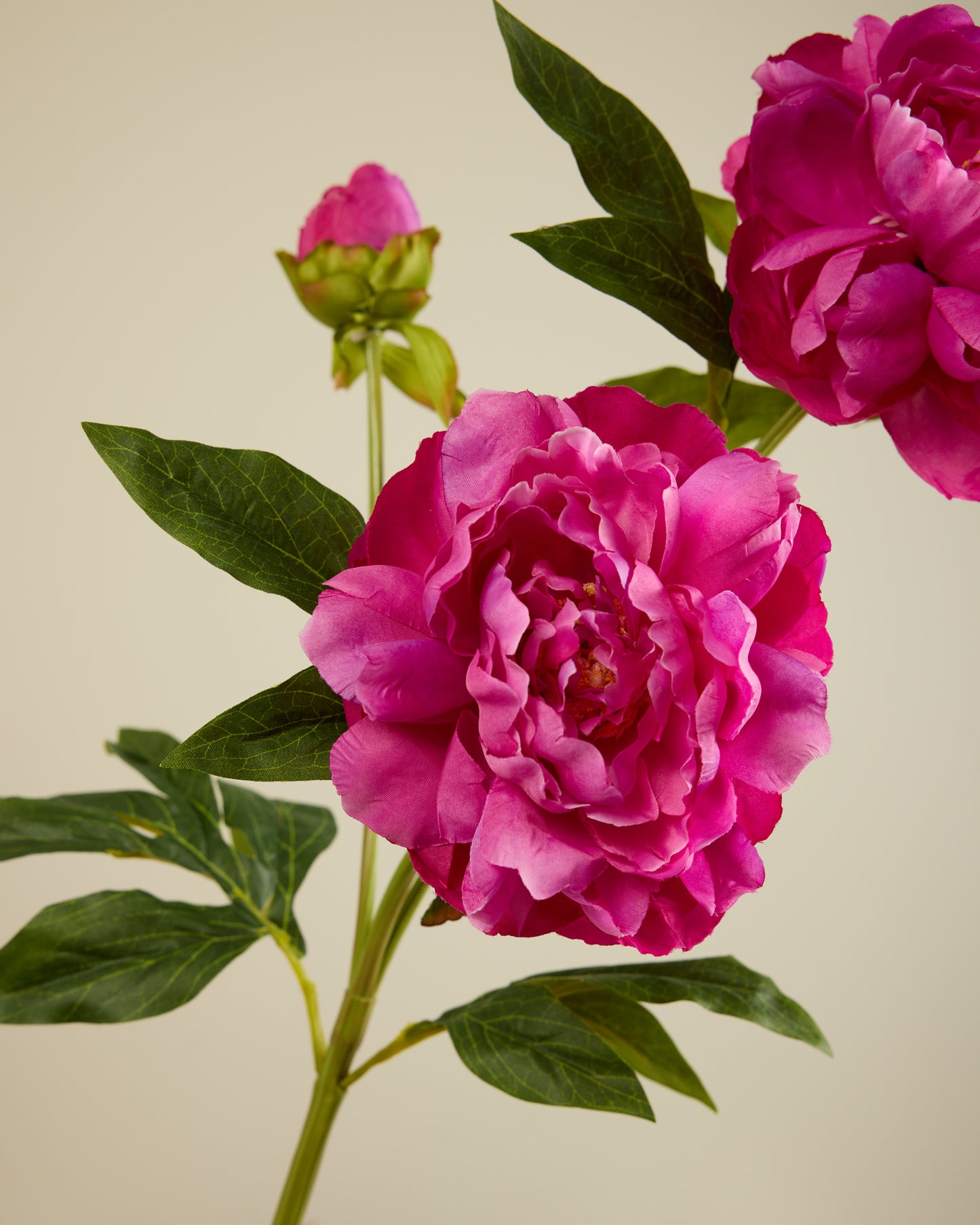 PEONY TRIO IN FUSCHIA