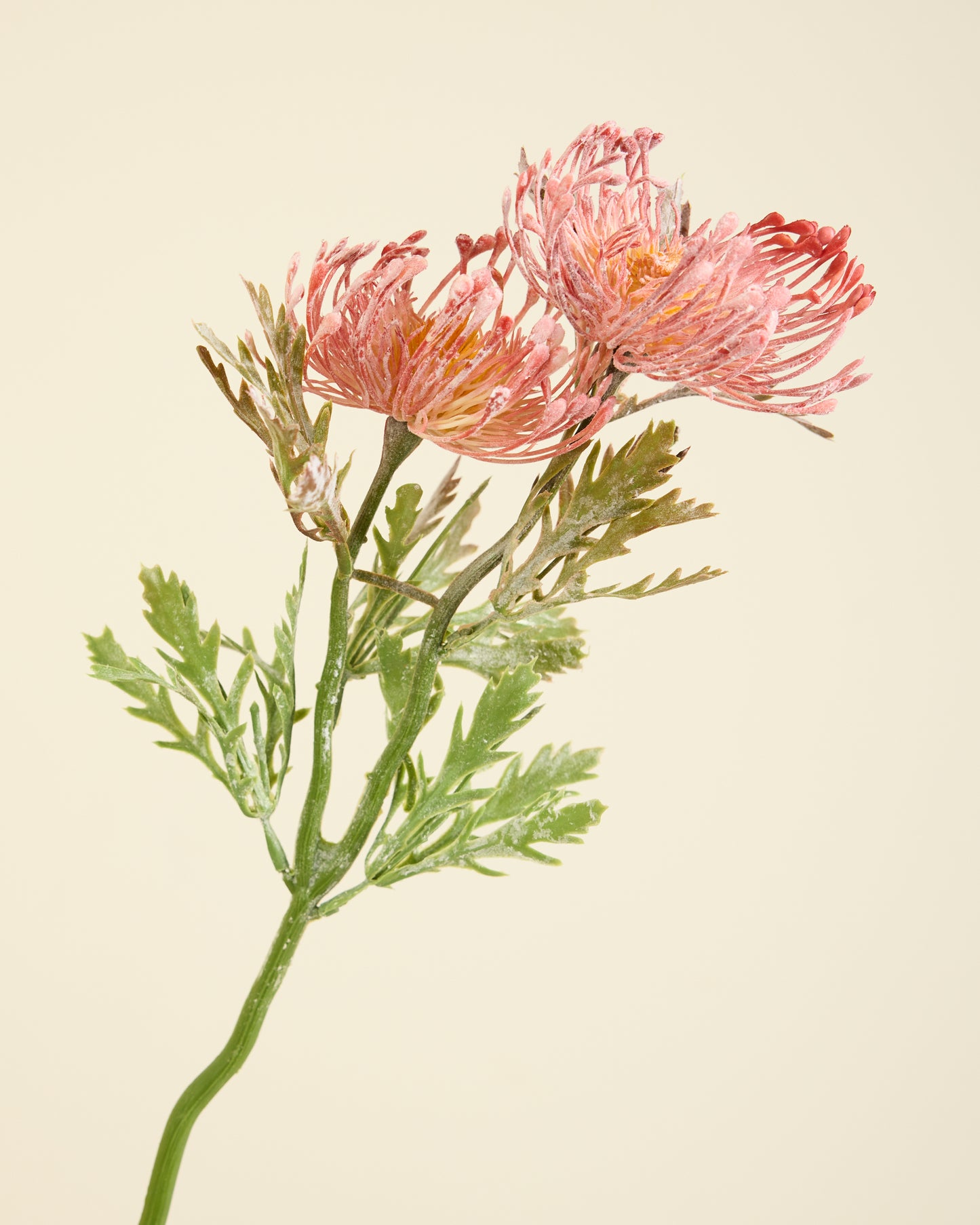 PROTEA SPRAY IN DUSTY PINK