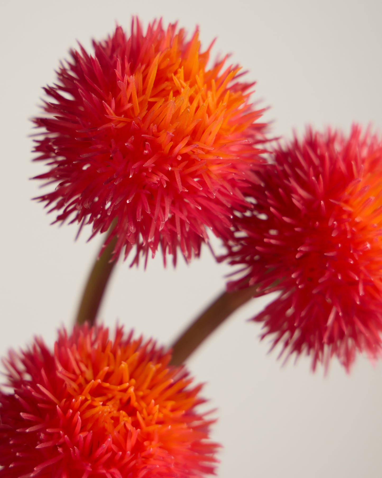 REAL TOUCH ALLIUM TRIO IN FIERY ORANGE