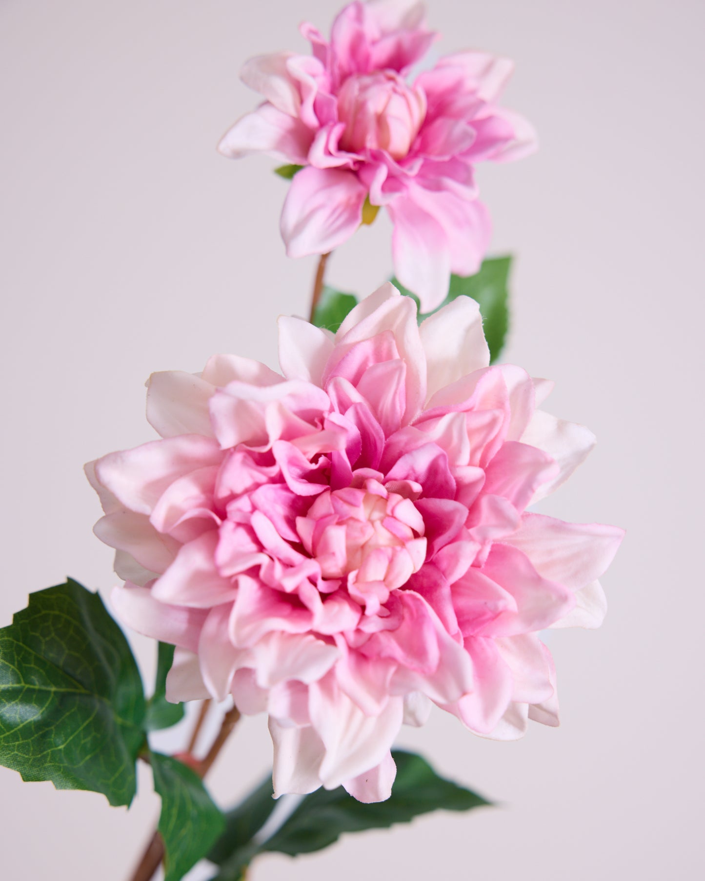 Pink Real Touch Dahlia