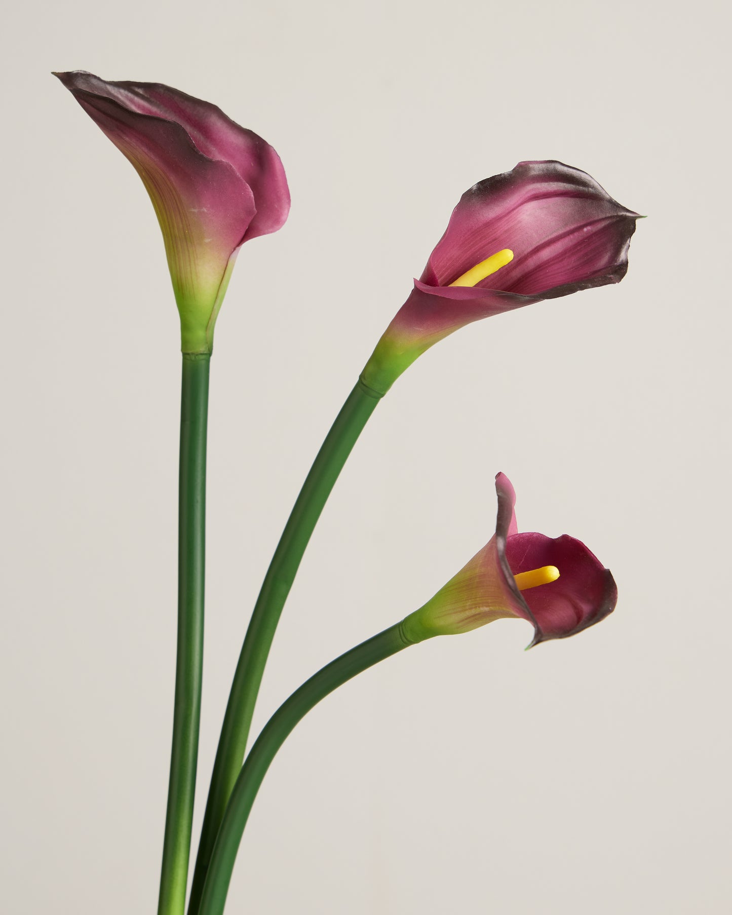 XL CALLA LILY IN PLUM