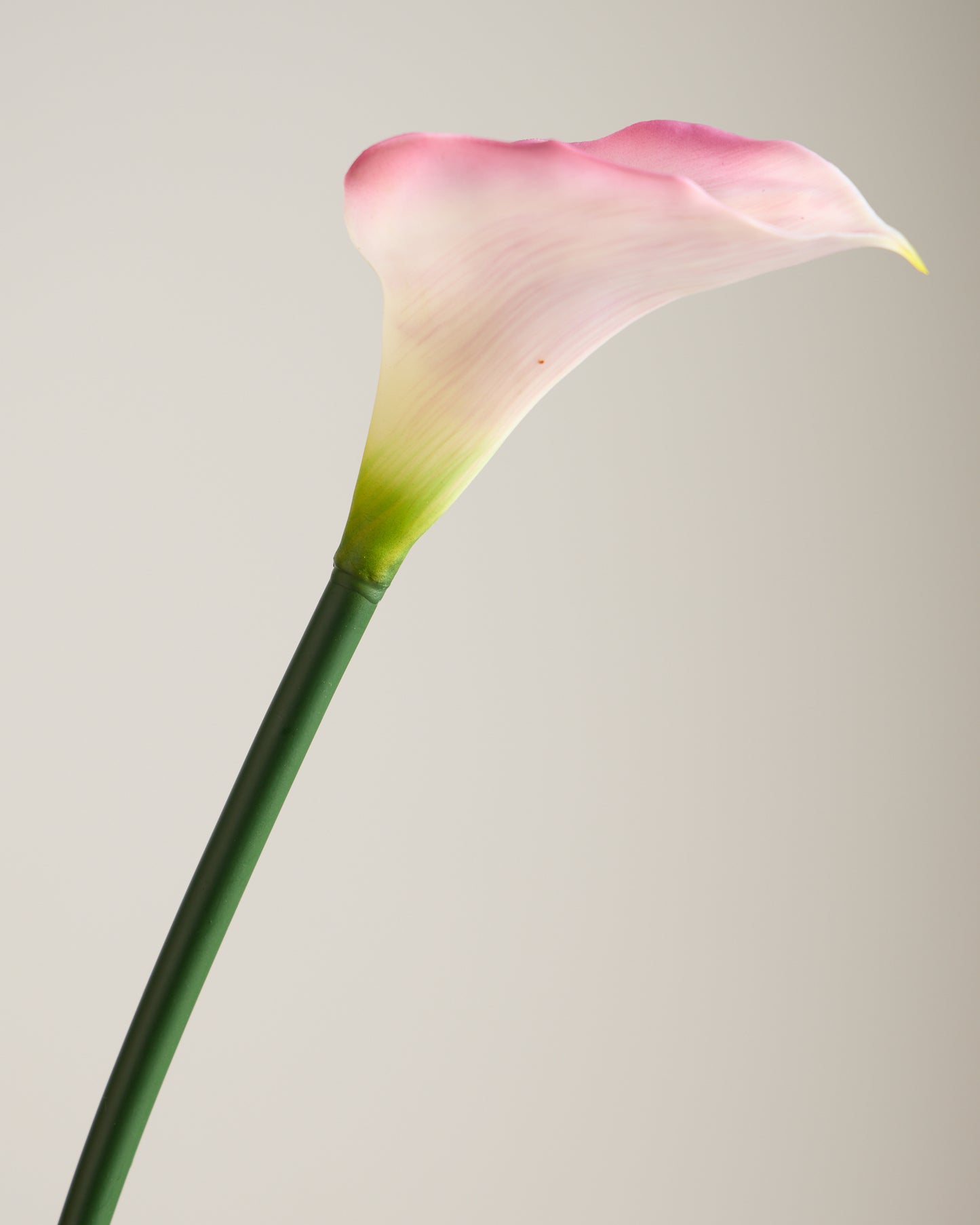 XL CALLA LILY IN DUSTY PINK