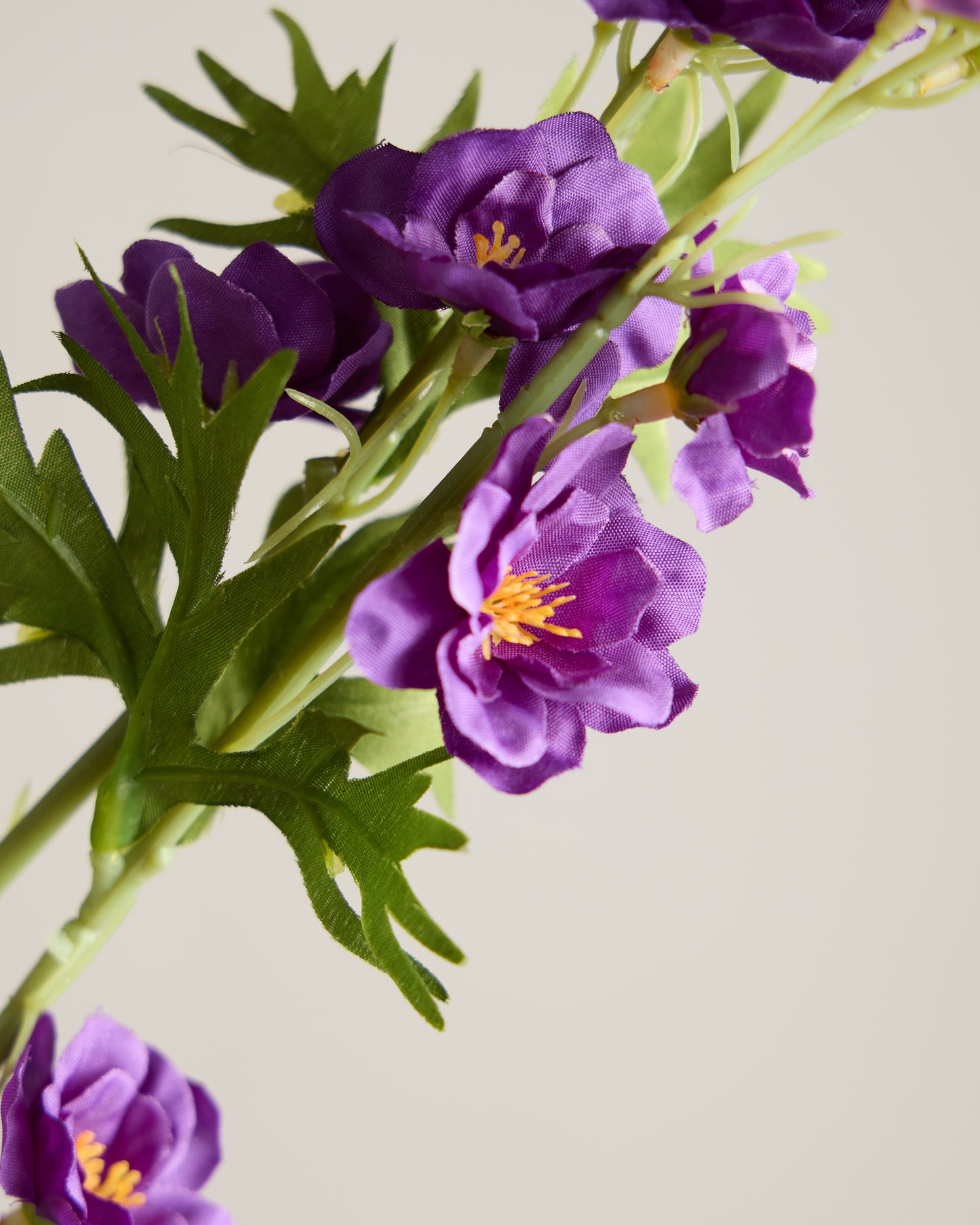 DELPHINIUM IN VIOLET