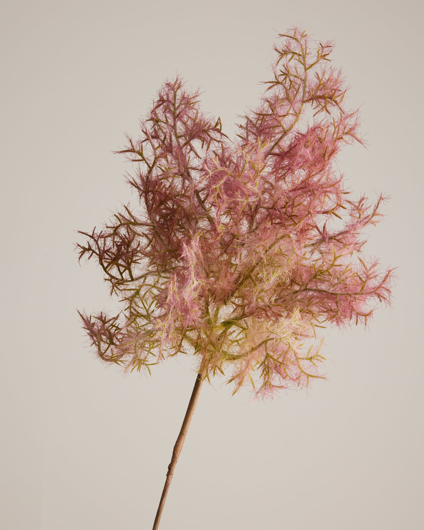 WHAT THE FLUFF IN DUSTY PINK