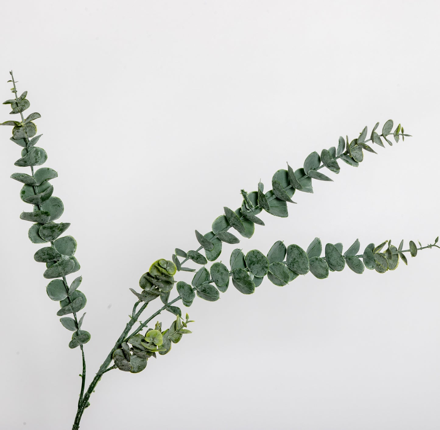 LUXURY REAL TOUCH EUCALYPTUS