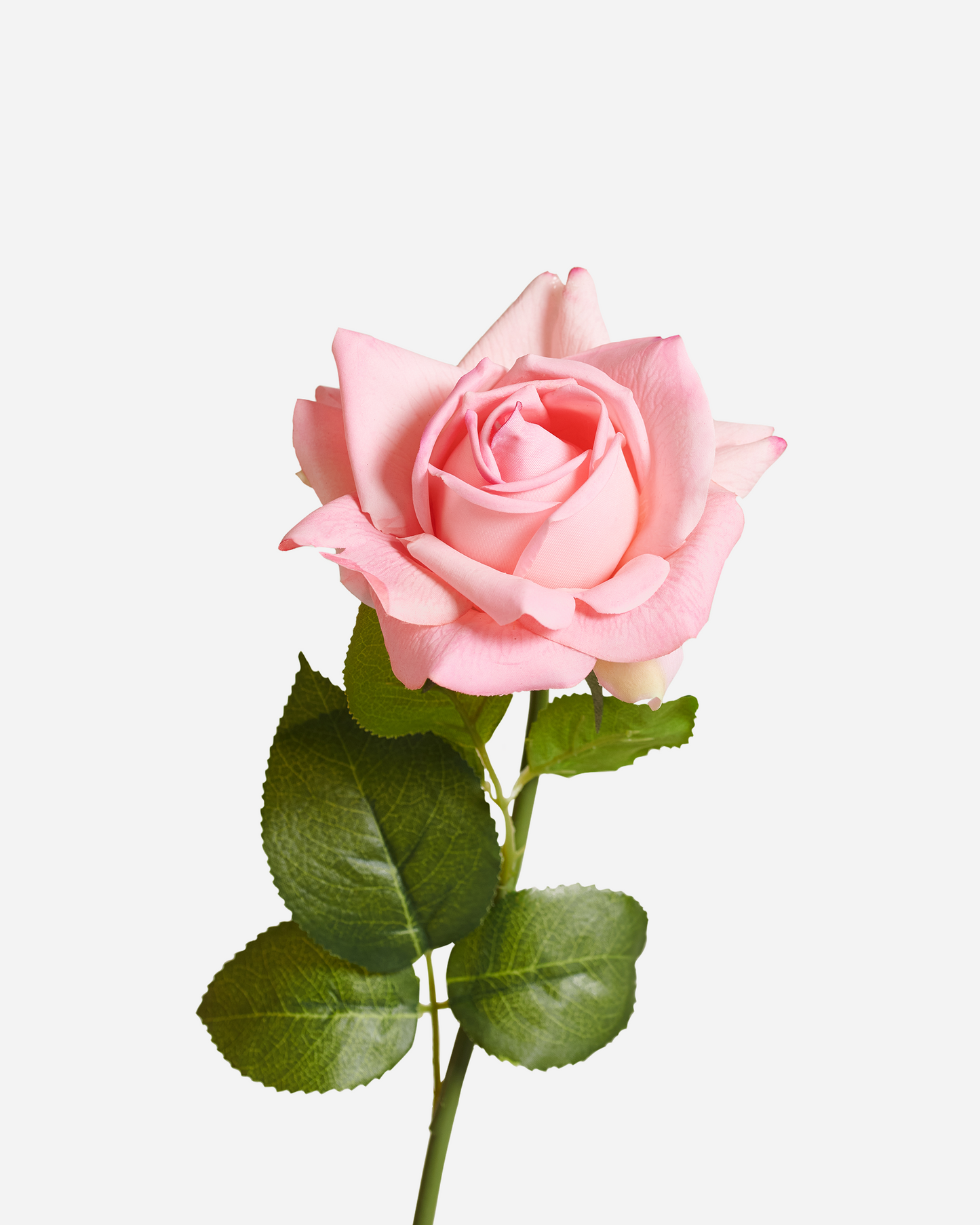 REAL TOUCH ROSE IN PINK