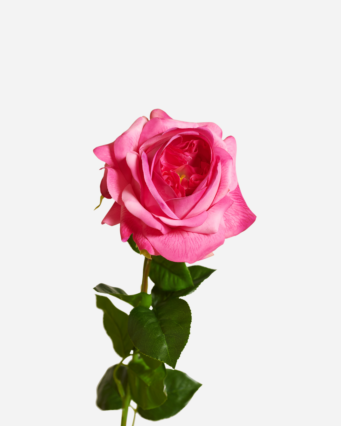 REAL TOUCH PEONY HOT PINK