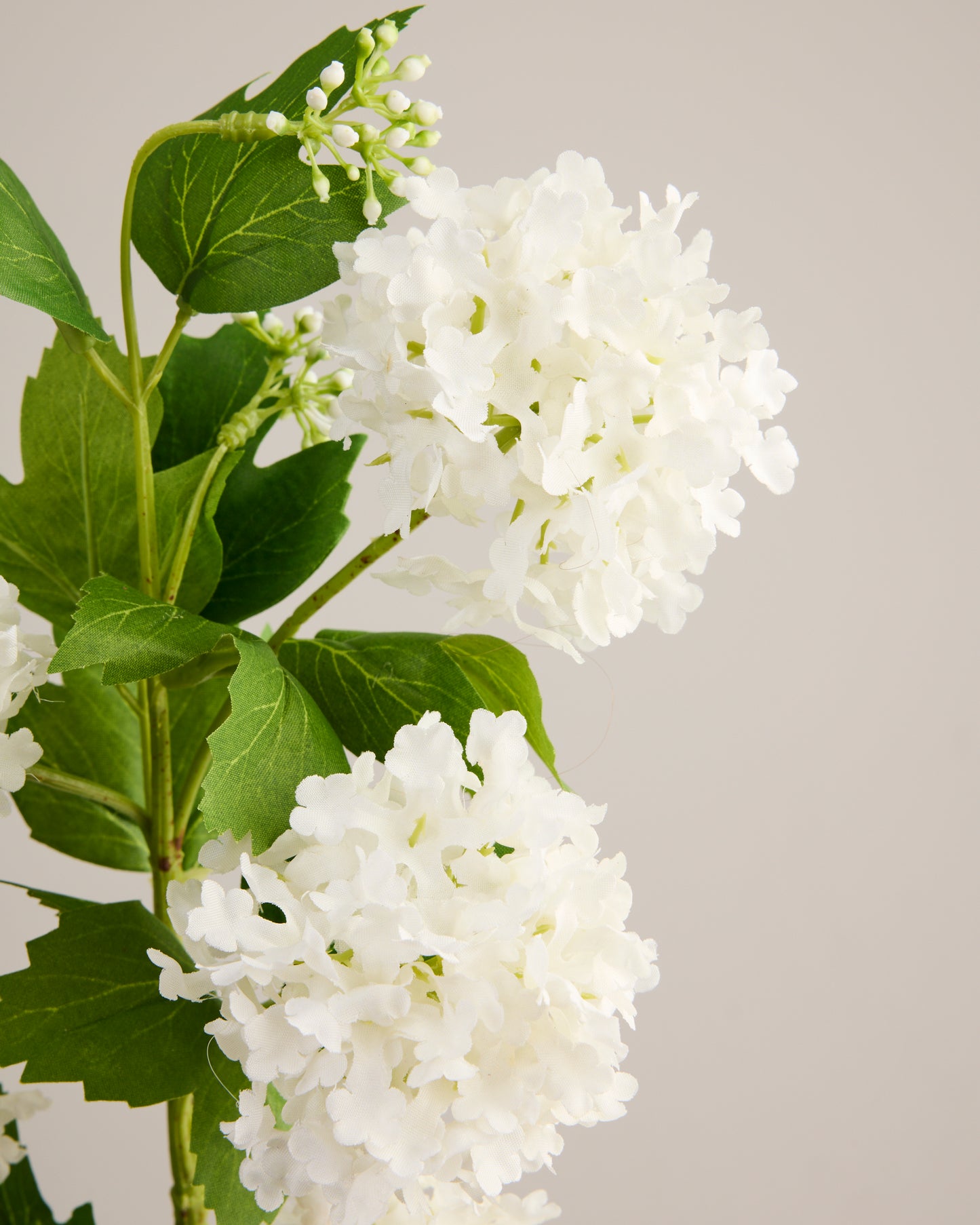 HYDRANGEA BALLS IN WHITE