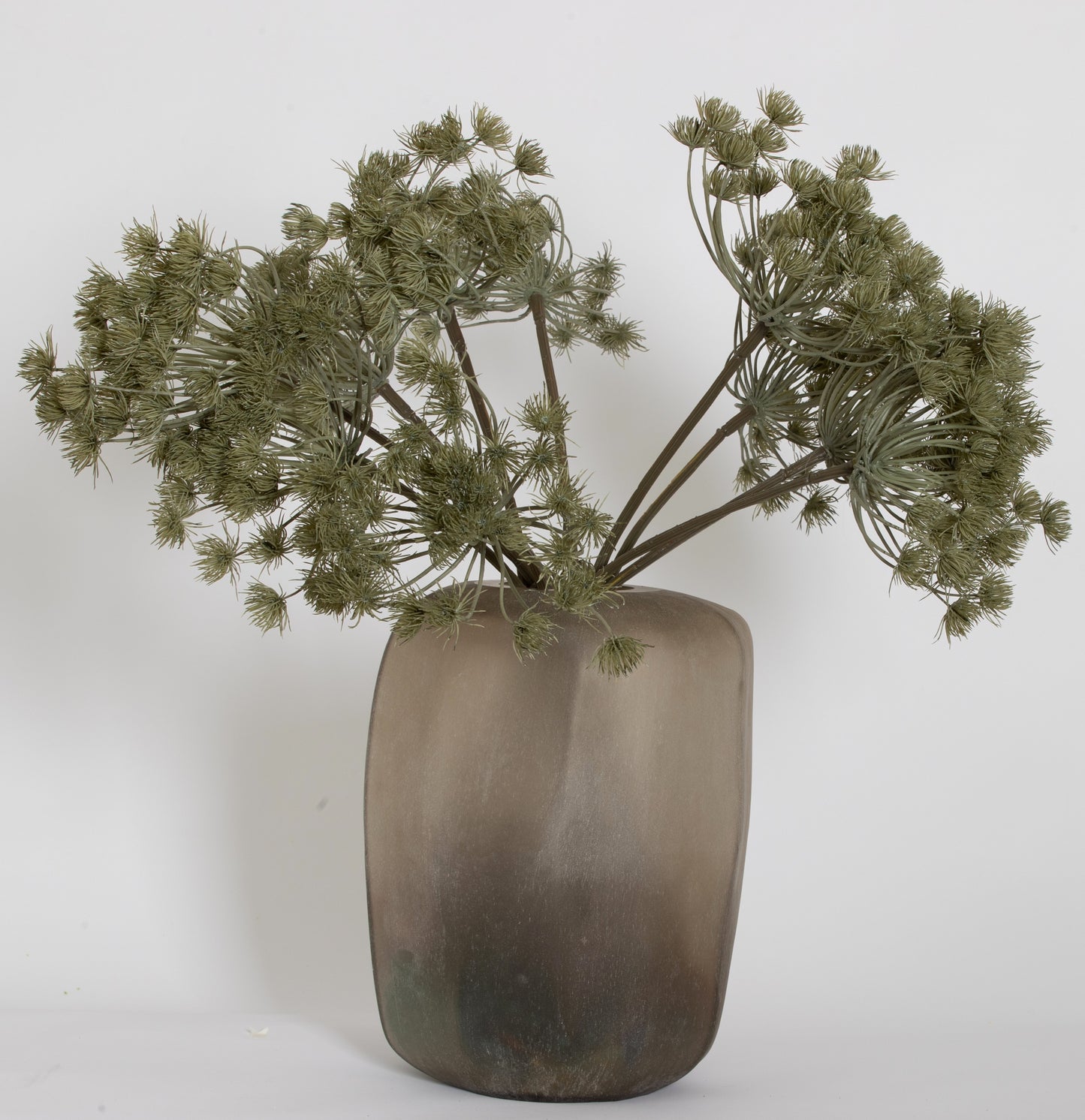 HOGWEED SPRAY GREY