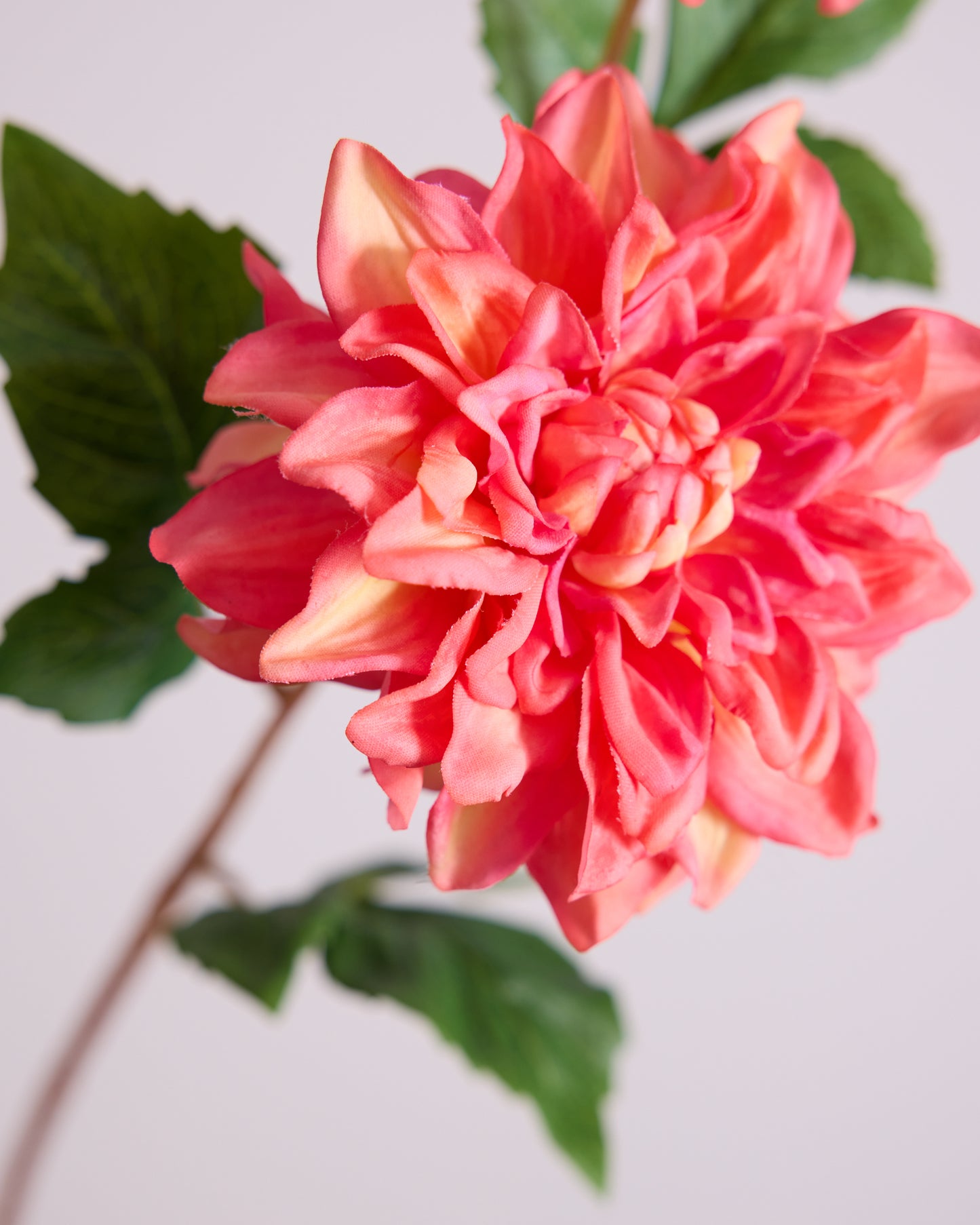 Hot Pink Real Touch Dahlia