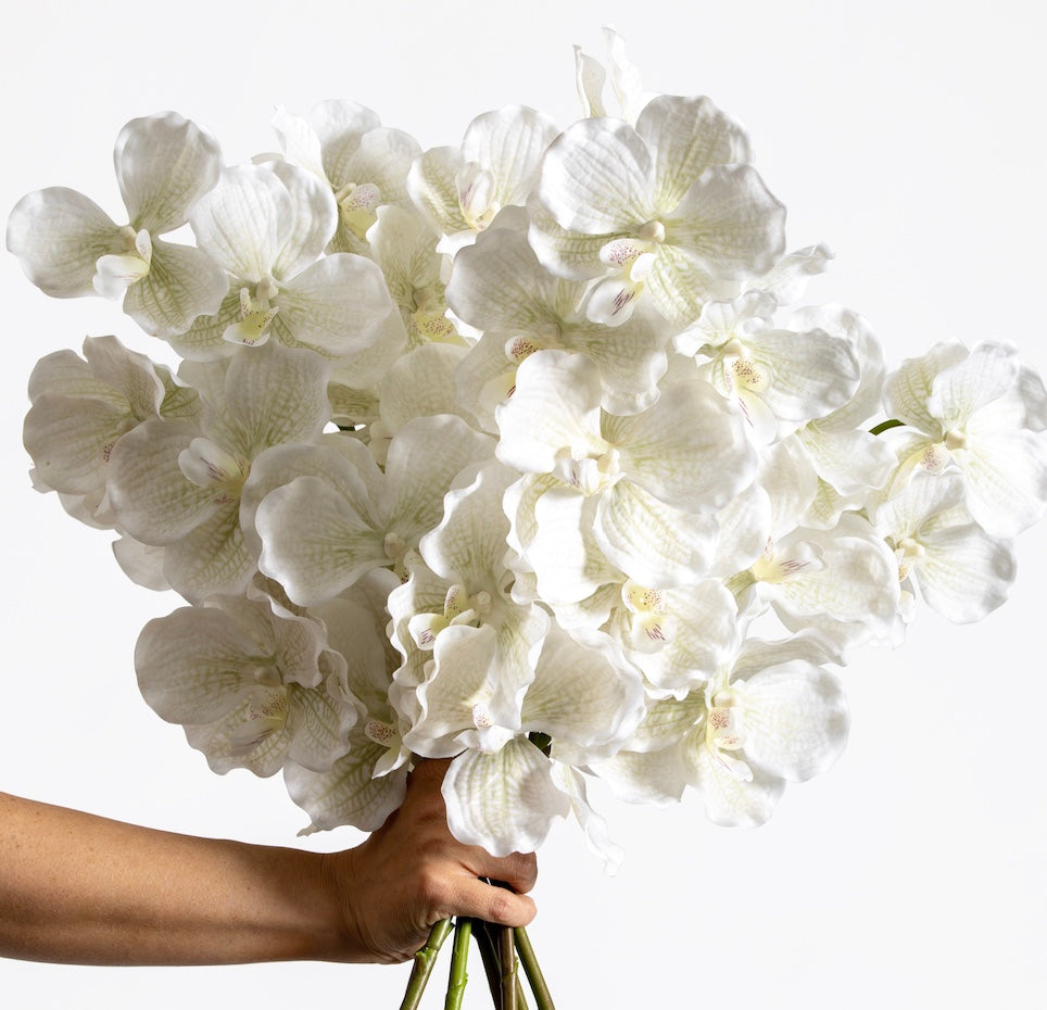 LUXURY REAL TOUCH ORCHIDS CREAM
