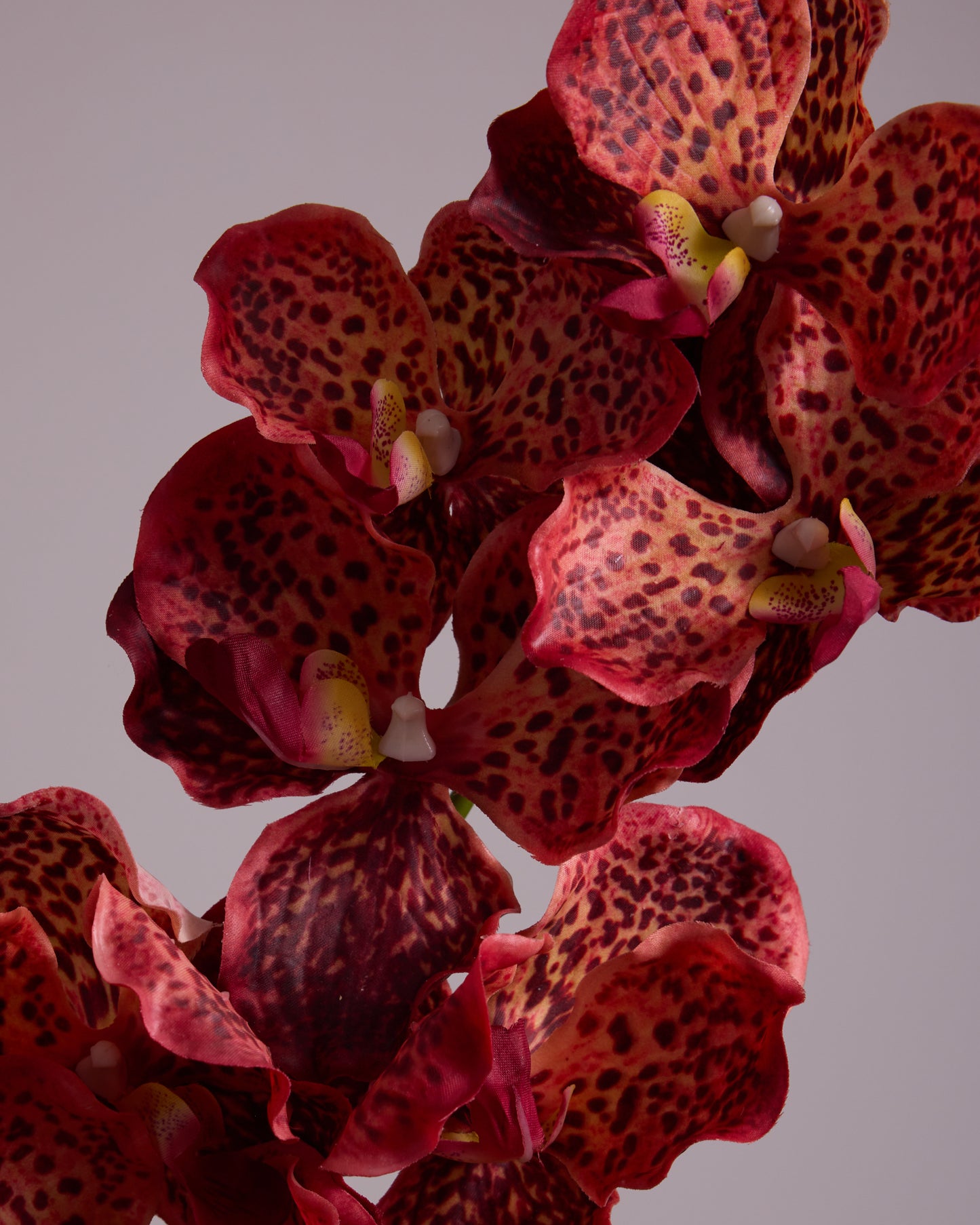 LUXURY REAL TOUCH ORCHIDS BURNT ORANGE