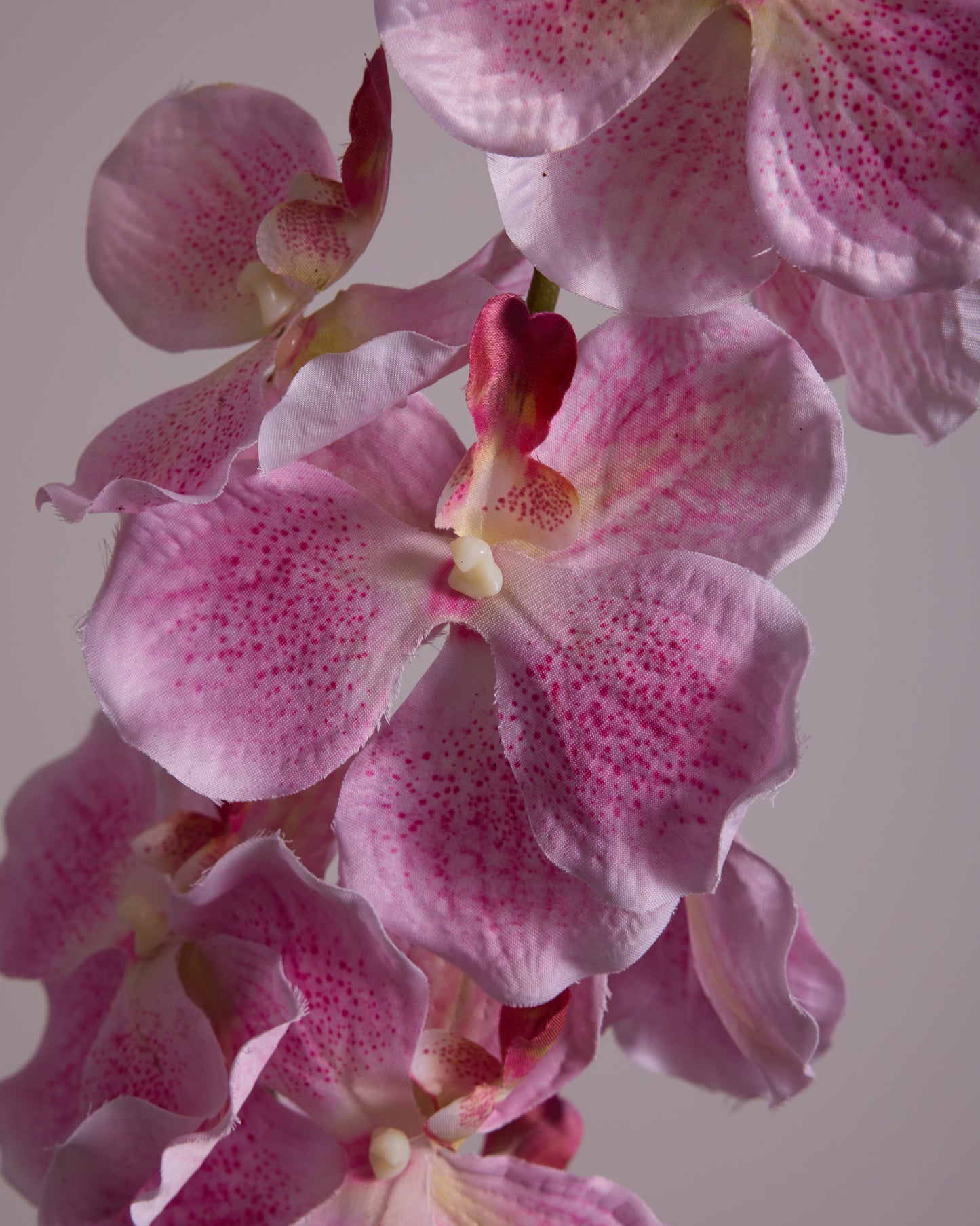 LARGE PINK SILK ORCHID