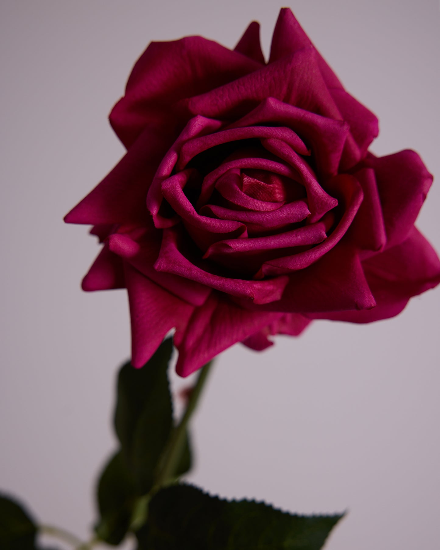 REAL TOUCH ROSE IN DEEP PINK