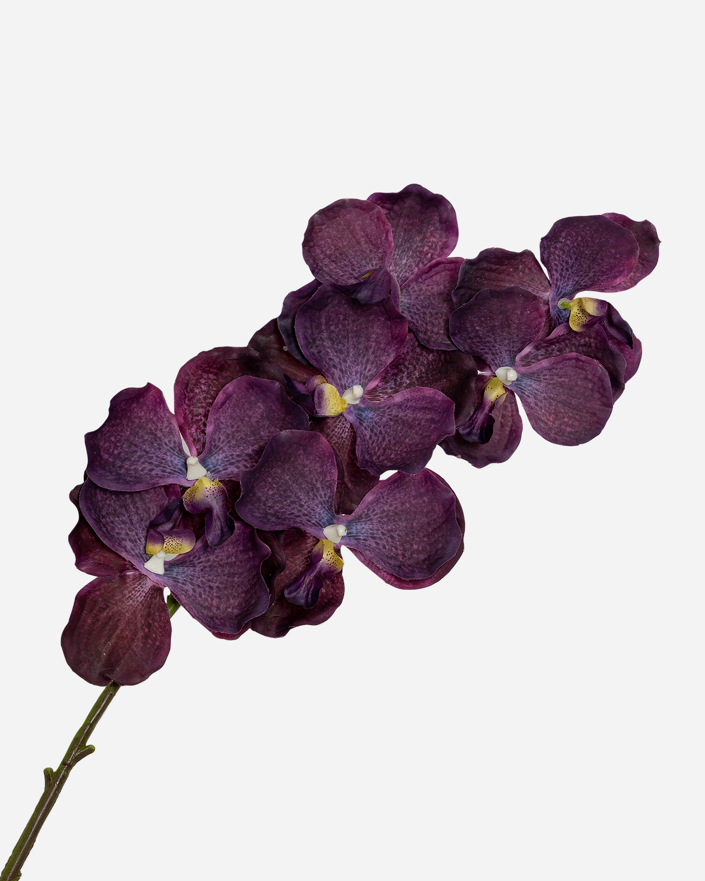 LUXURY REAL TOUCH ORCHIDS MAUVE