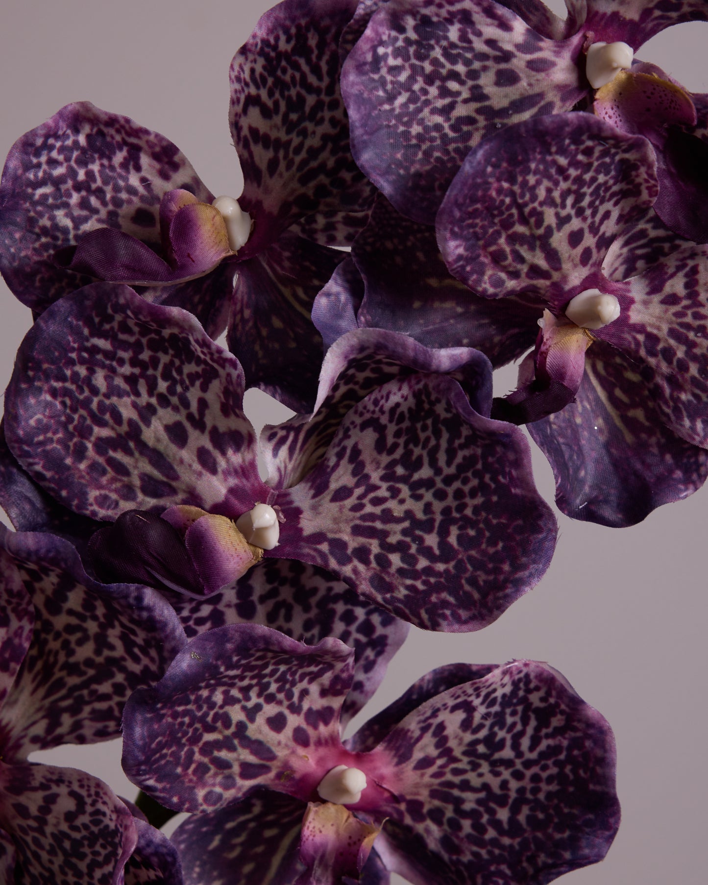 LUXURY REAL TOUCH ORCHID IN VARIEGATED PURPLE