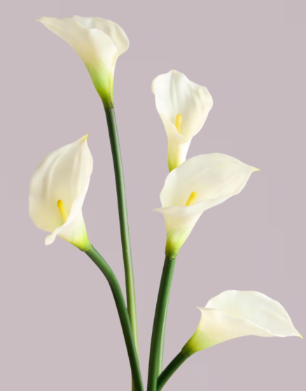 CALLA LILY IN WHITE (EXTRA LARGE) – Faux King Florals