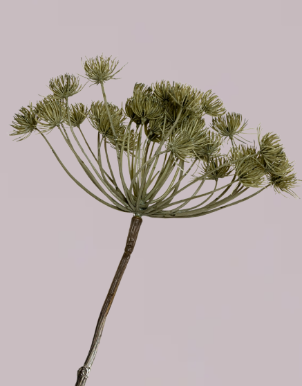 HOGWEED SPRAY GREEN / GREY