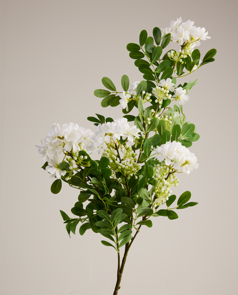 LARGE FOLIAGE AND HYDRANGEA ARRANGEMENT