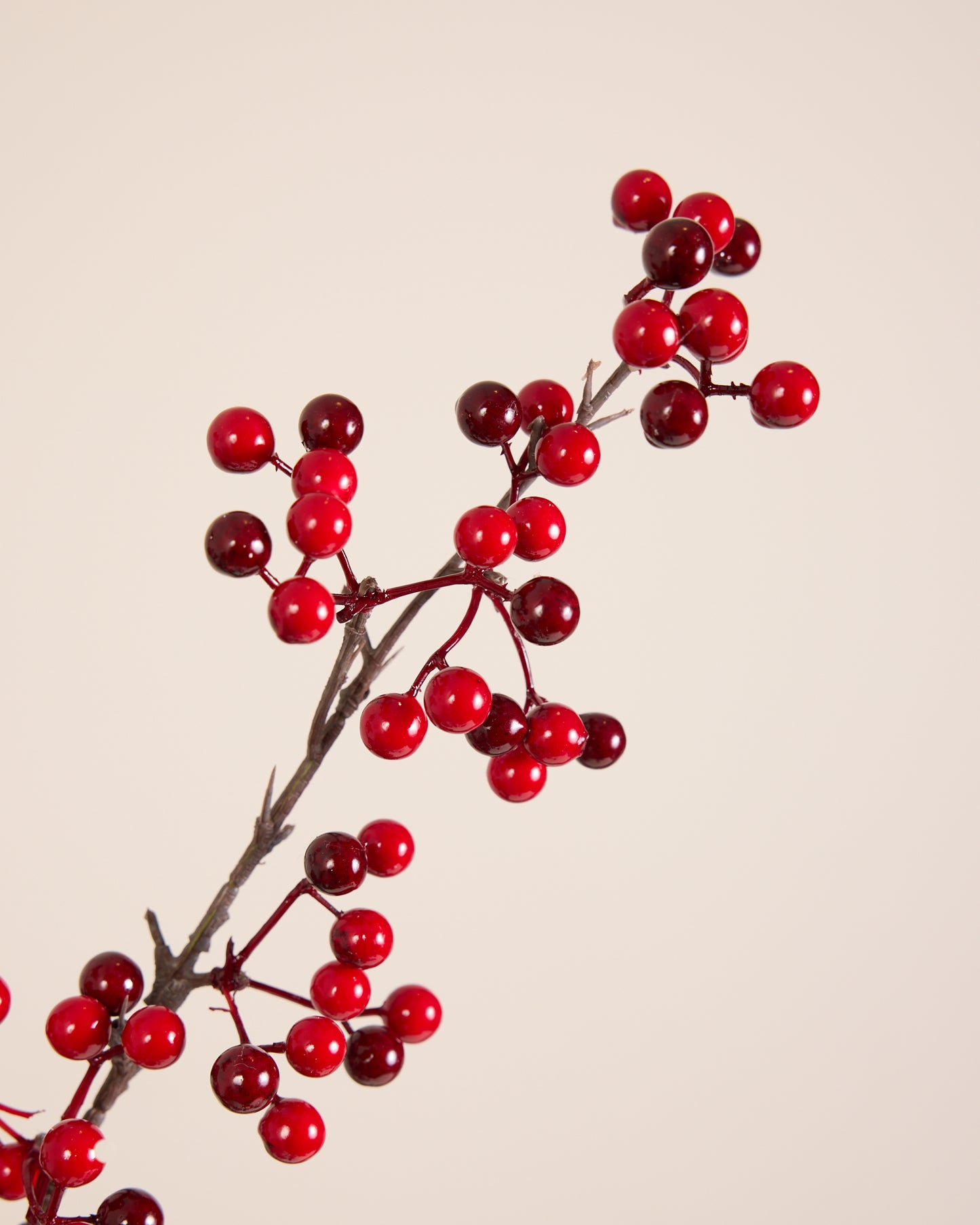 FESTIVE RED BERRY