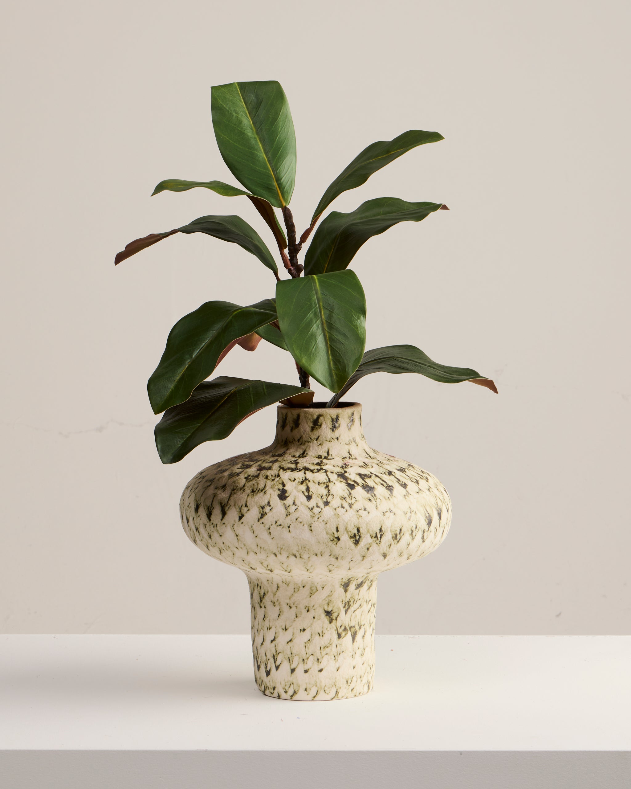 Foliage Arrangements