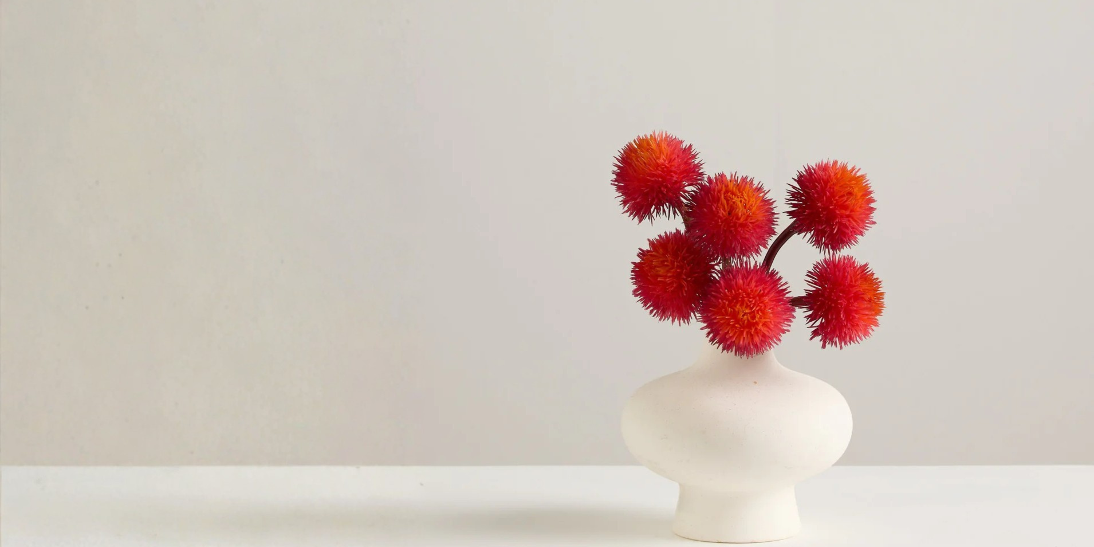 Allium