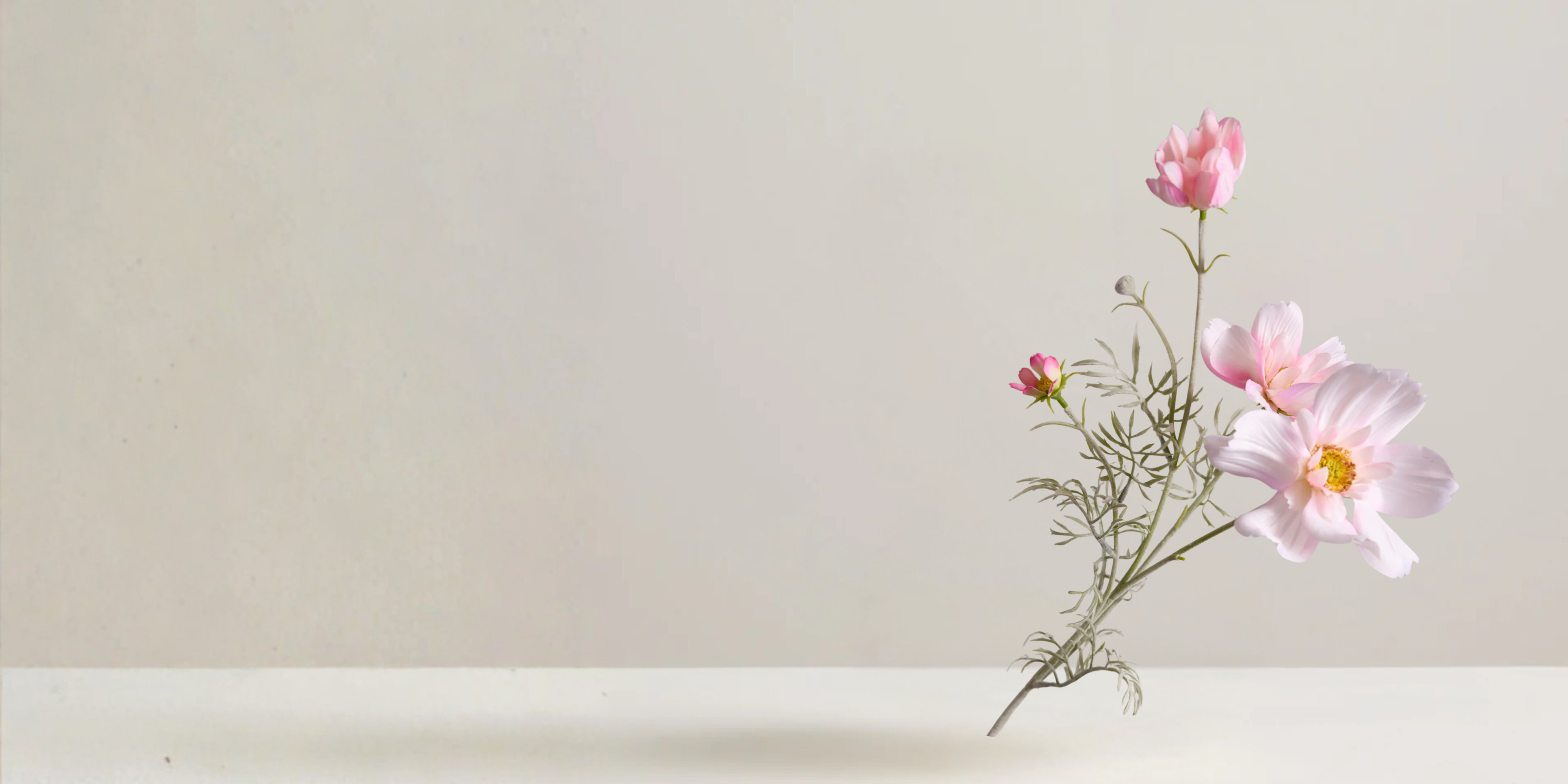 Cosmos