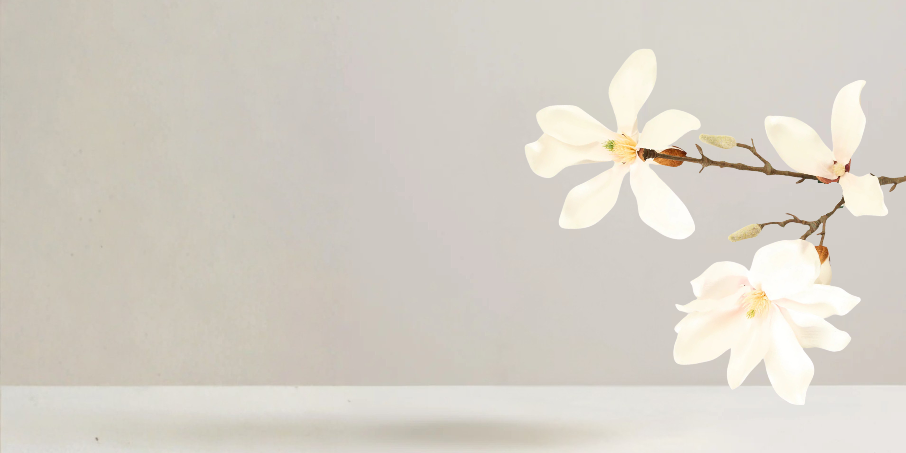 Magnolia