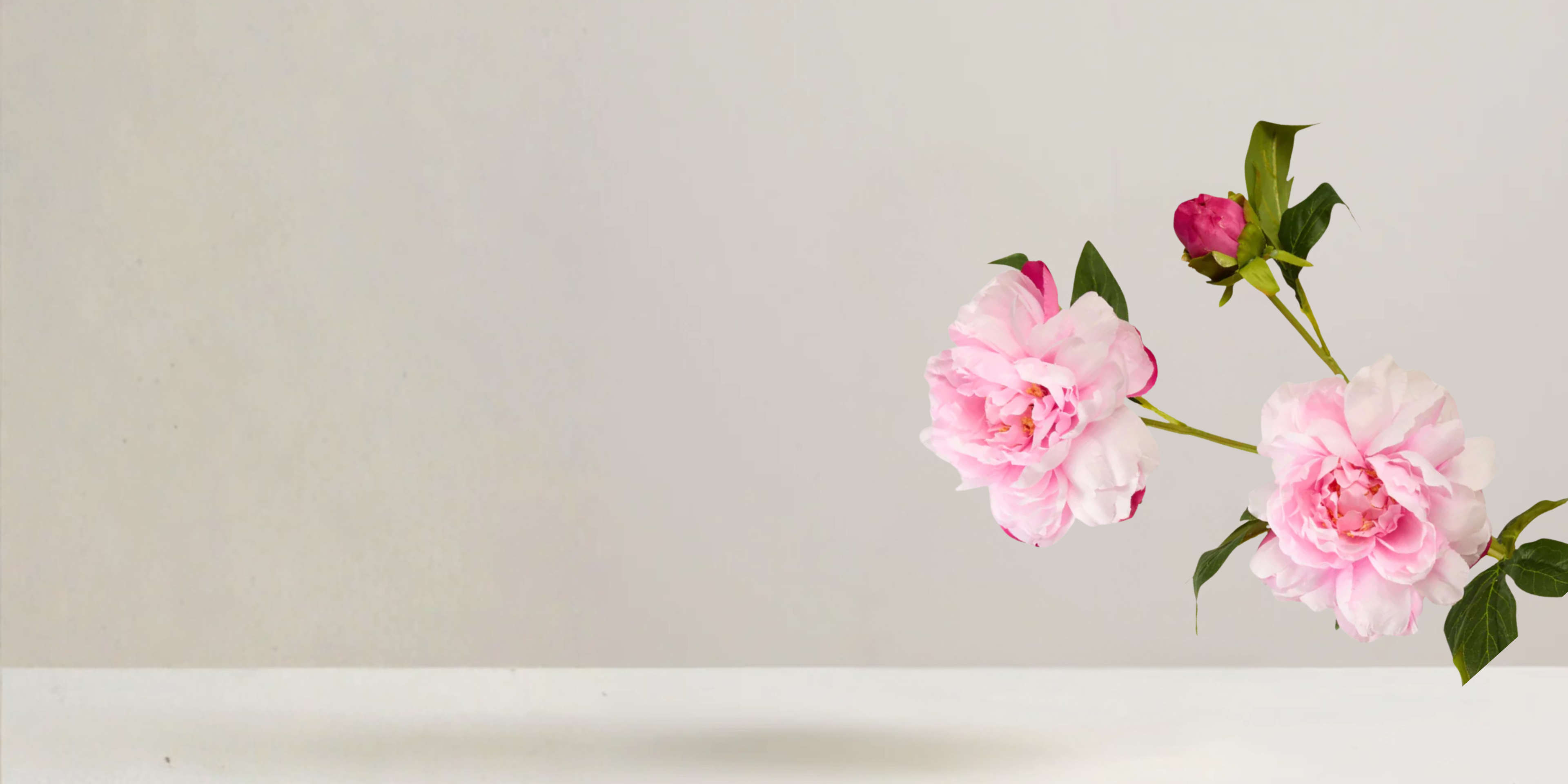 Peony