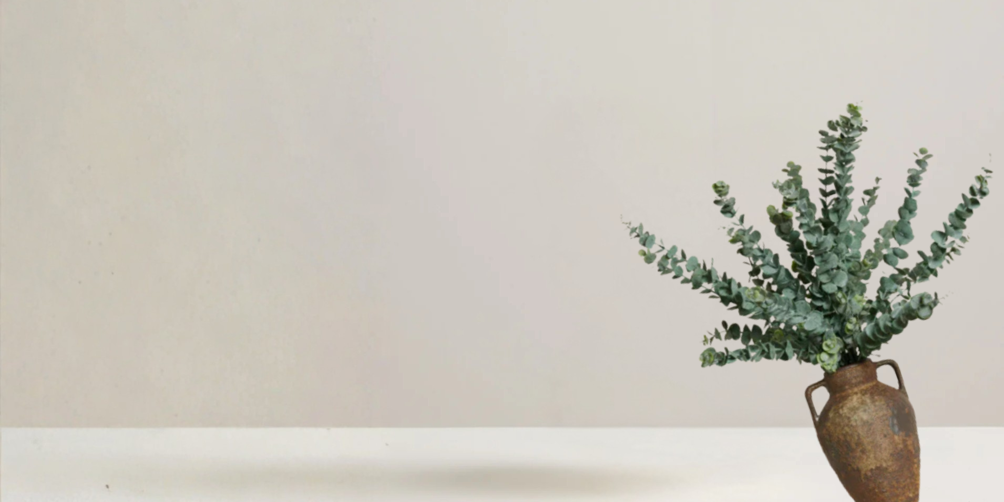 Eucalyptus