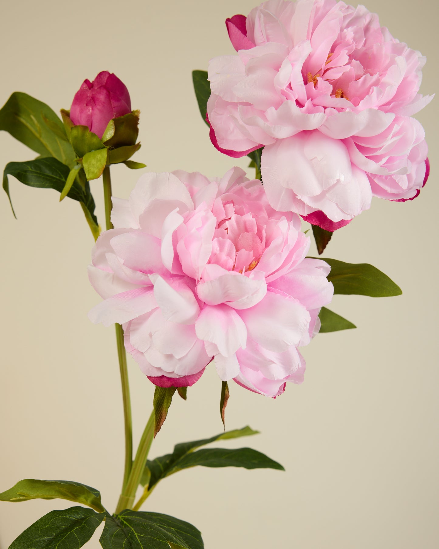 PEONY TRIO IN SOFT PINK