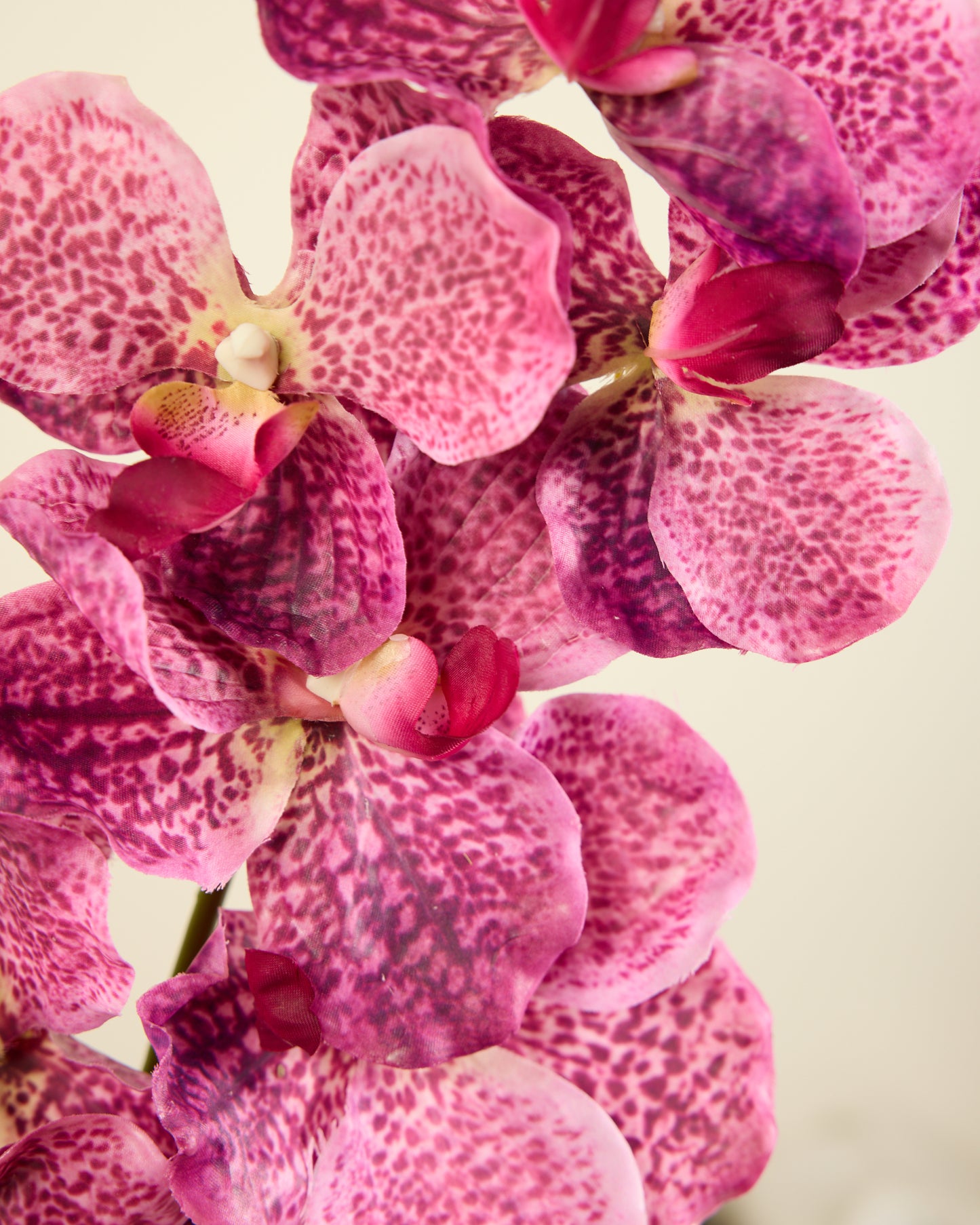 ABSOLUTE LUXURY REAL TOUCH ORCHIDS IN FUSCHIA
