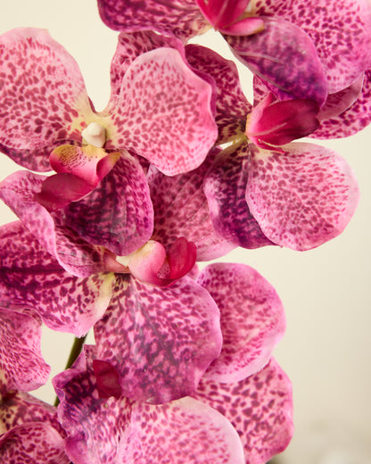 ABSOLUTE LUXURY REAL TOUCH ORCHIDS IN FUSCHIA