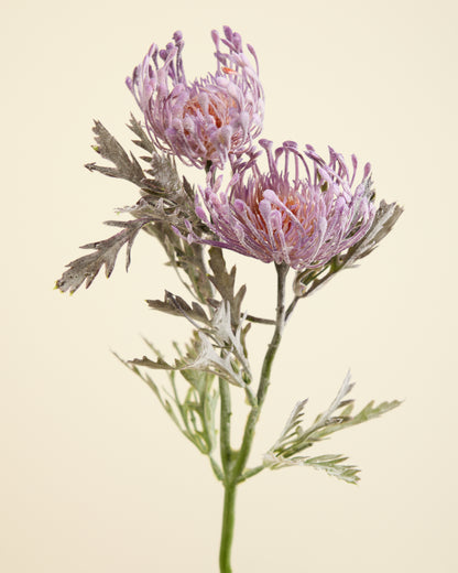 PROTEA SPRAY IN ULTRA VIOLET