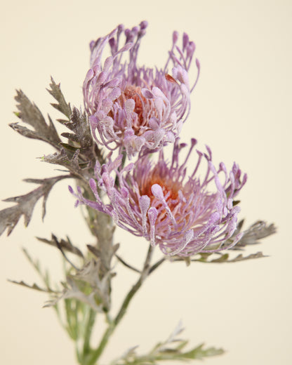 PROTEA SPRAY IN ULTRA VIOLET