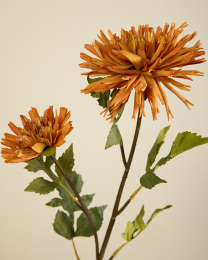 CHRYSANTHEMUM IN BURNT ORANGE