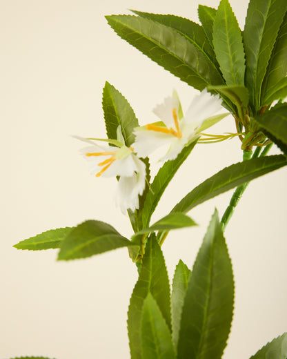EXOTIC LEAF BRANCH WITH WHITE BLOSSOM