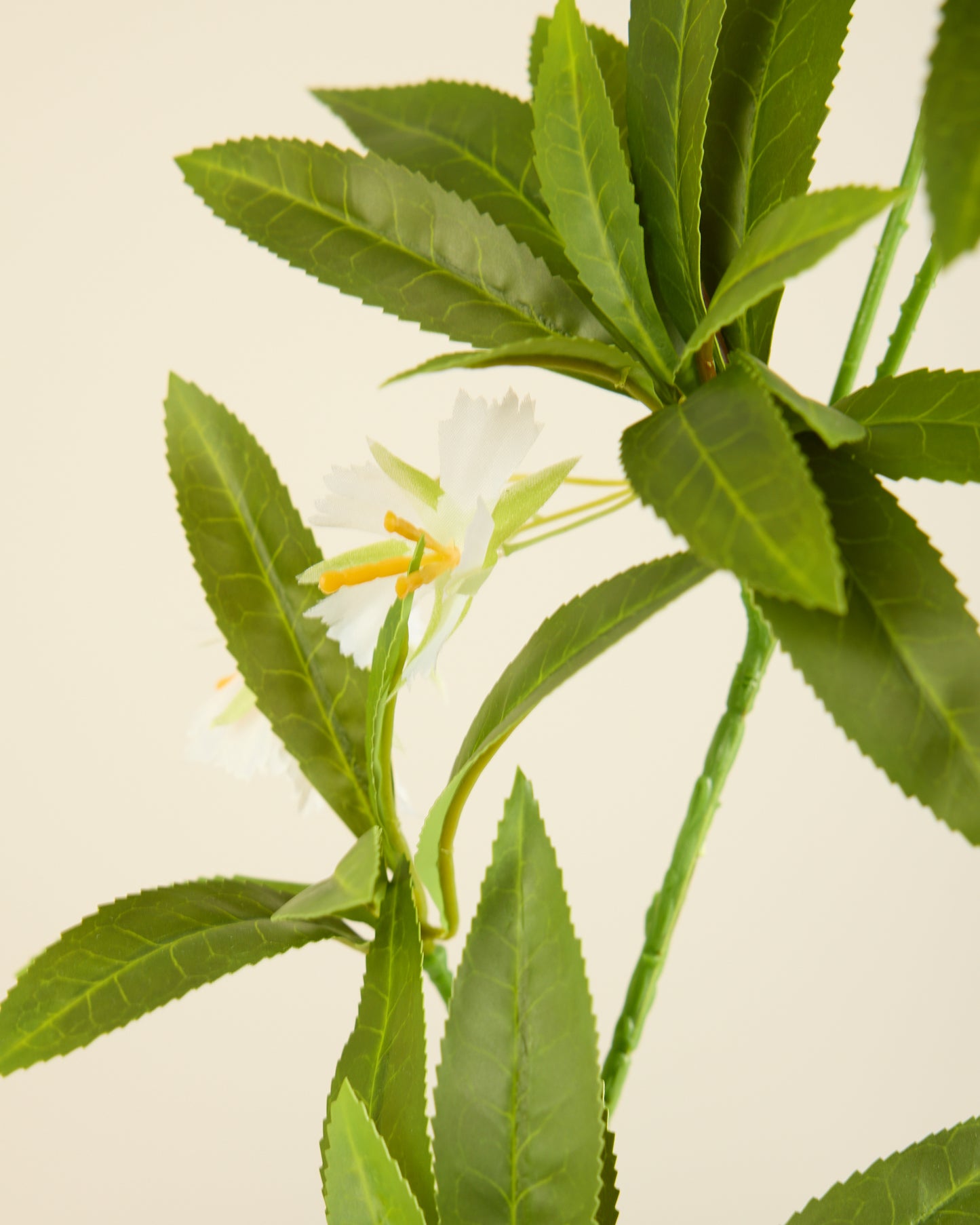 EXOTIC LEAF BRANCH WITH WHITE BLOSSOM