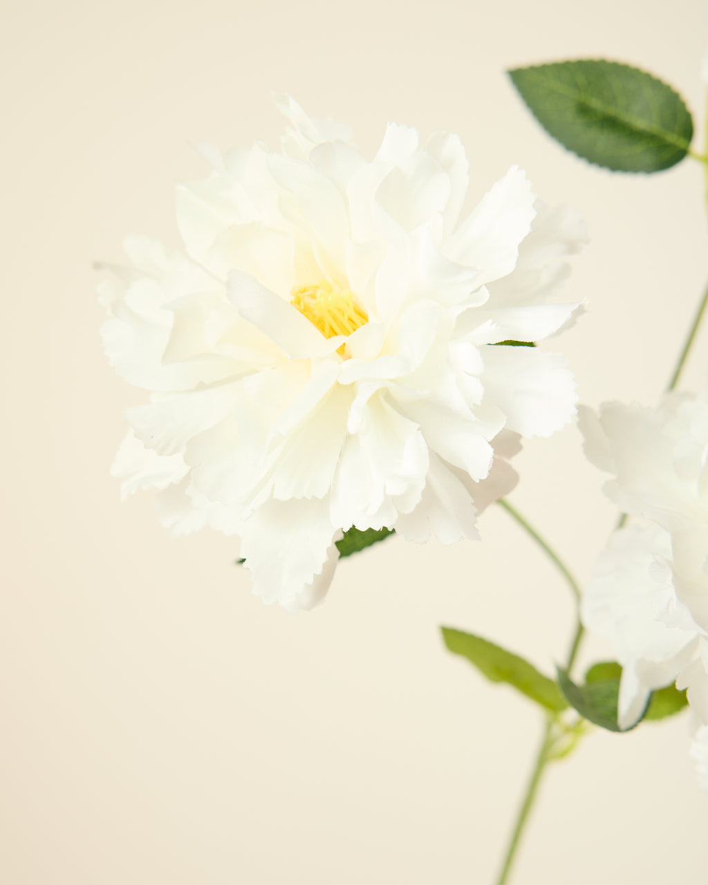 PEONY TRIO IN WHITE