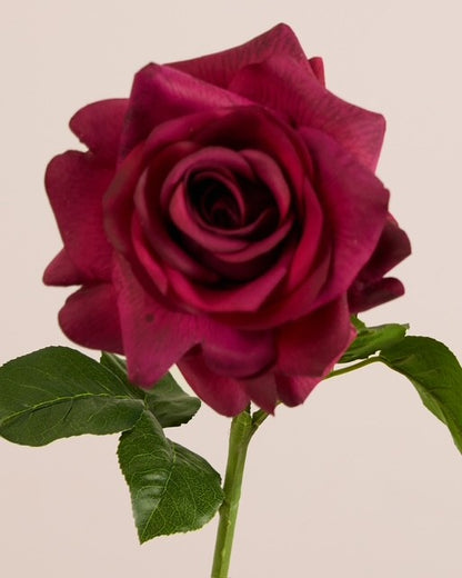 REAL TOUCH ROSE IN MERLOT