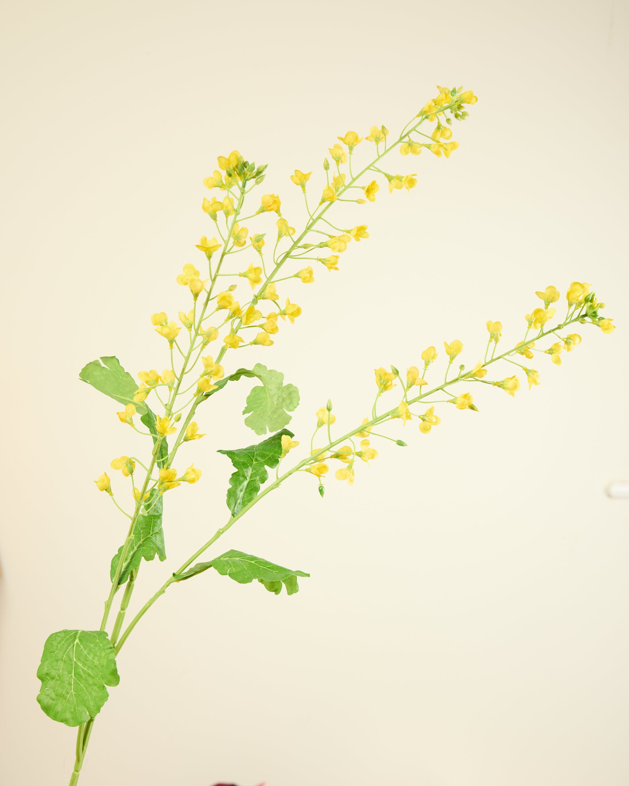 SILK-KA MIMOSA SPRAY