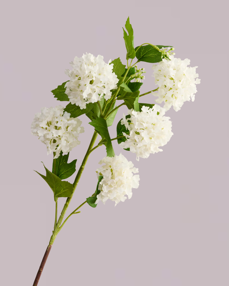 HYDRANGEA BALLS IN WHITE