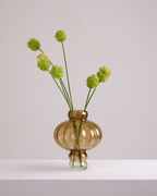 ALLIUM DUO IN GREEN