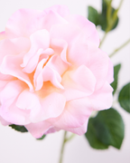 BLUSH REAL TOUCH PEONY