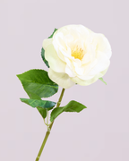 WHITE REAL TOUCH RANUNCULUS