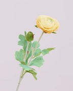 SOFT PINK REAL TOUCH RANUNCULUS
