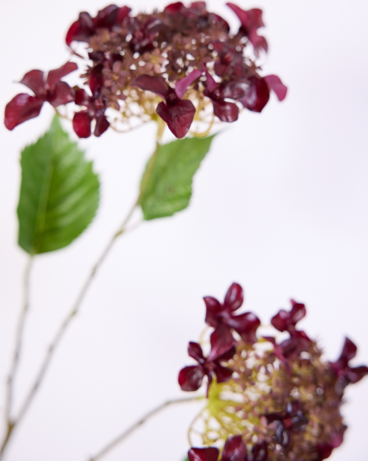 BURGUNDY HYDRANGEA SPRAY 69CM
