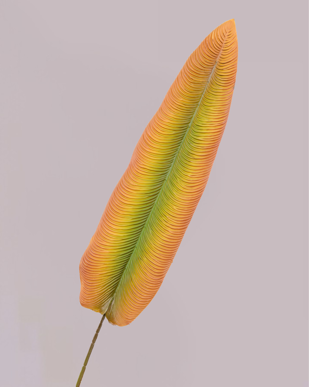 XL EXOTIC LEAF IN ORANGE 85CM