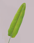 XL EXOTIC LEAF IN GREEN 85CM
